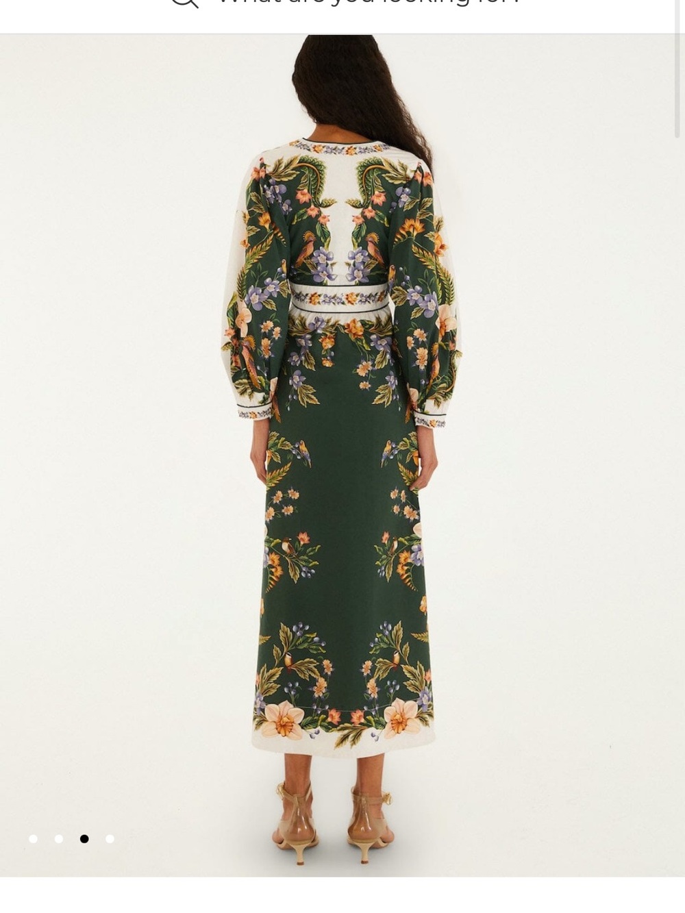 Farm Rio Green Nature V Neck Buttoned Maxi Dress - Picture 3 of 4
